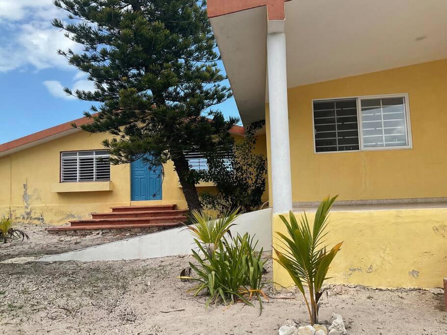 La Casa Amarilla Frente Al Mar Villa Chelem Eksteriør bilde